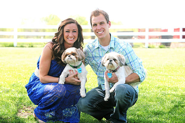 shihtzupuppieshavens